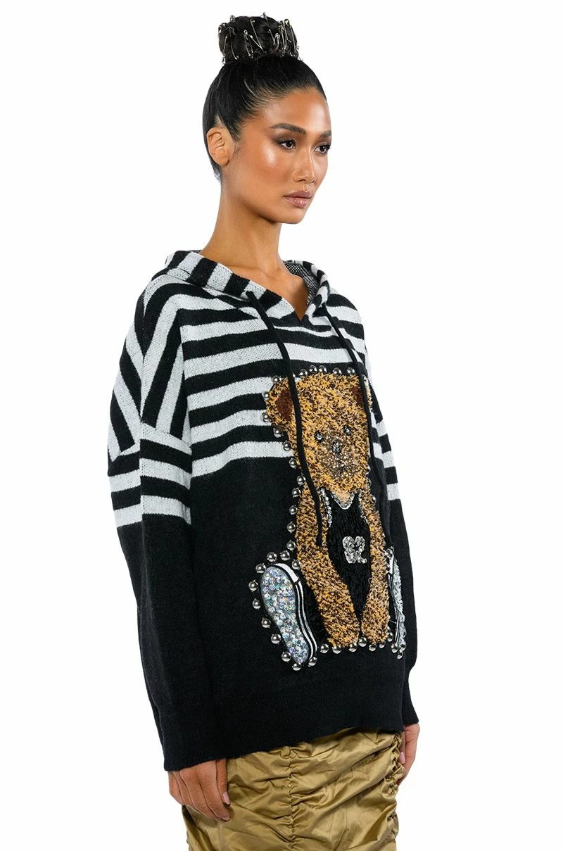 TEDDY HOODED STRIPED SWEATER - Image 5